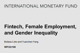 Индустрия финансовых технологий, занятость среди женщин и гендерное неравенство