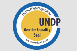 Private sector:  The Gender Equality Seal Programme