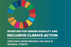 Investing for gender equality and inclusive climate action